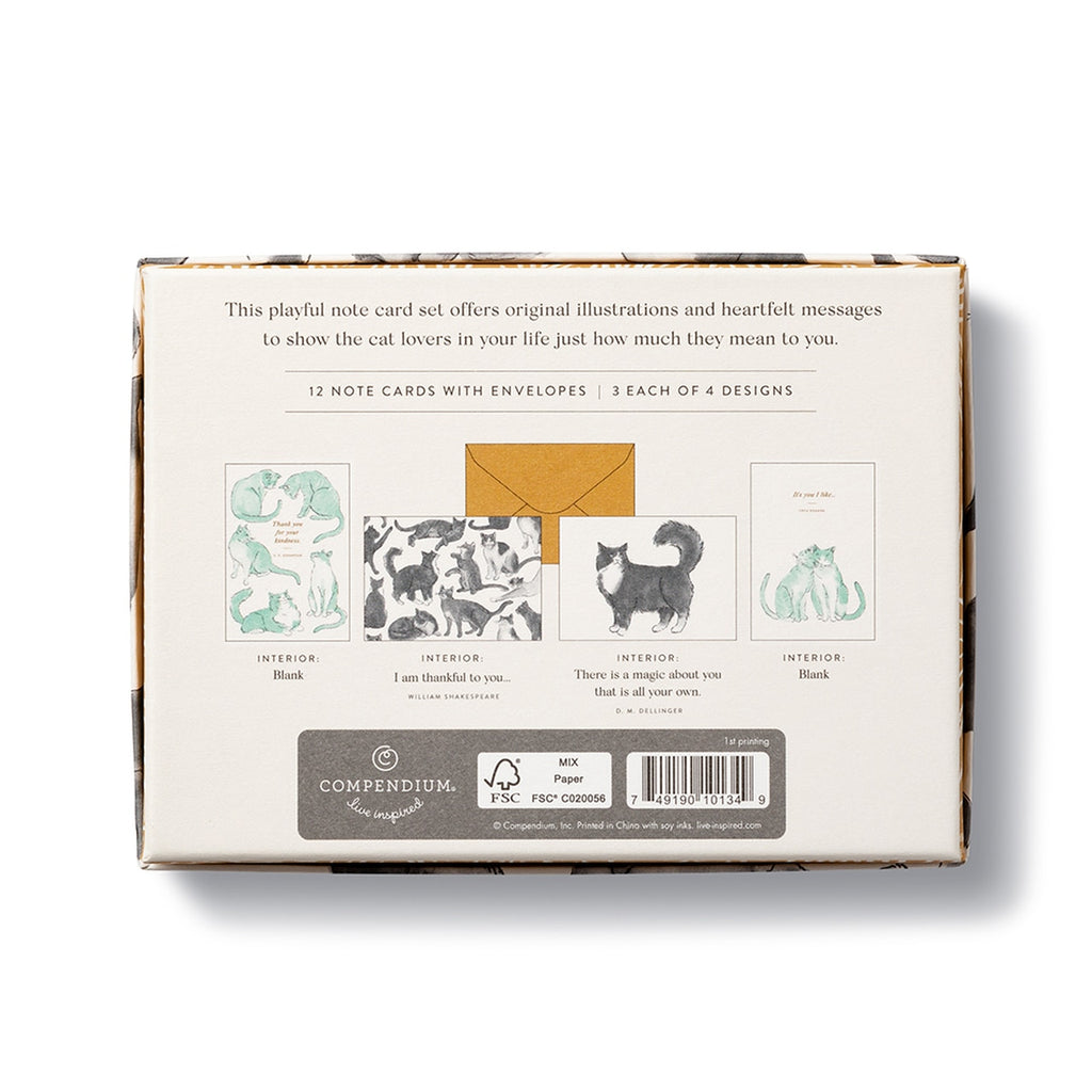 Cat Themed Note Cards Box — Marrygrams