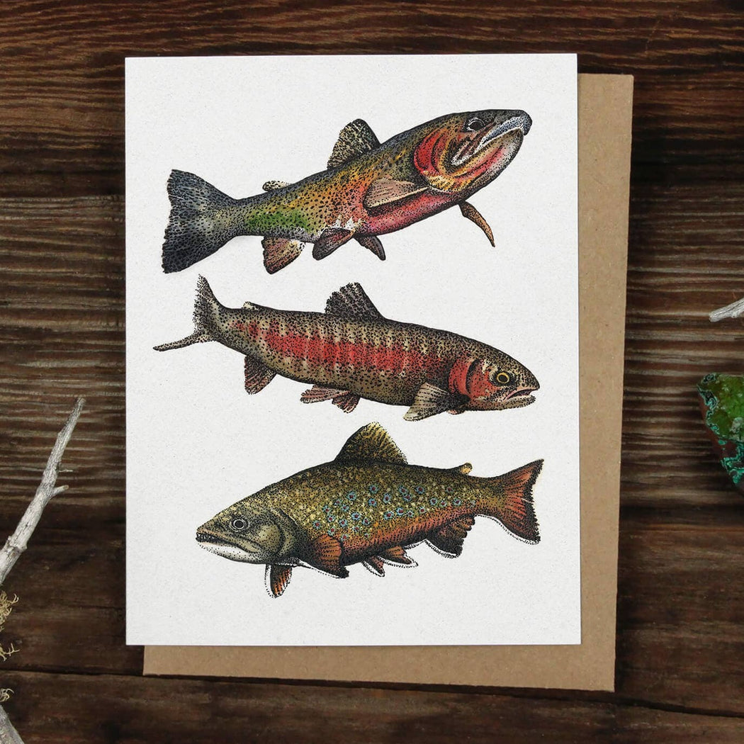 Mountain Trout Fish Card